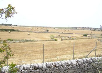 P4280045.JPG - Villa Ragusa - foto 7