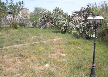 P4280039.JPG - Villa Ragusa - foto 4