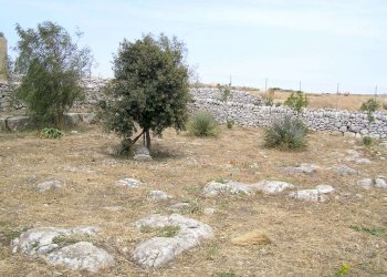 P4280060.JPG - Villa Ragusa - foto 23
