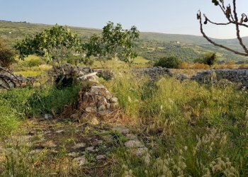 20180512_183005.jpg - Casale Ragusa - foto 13