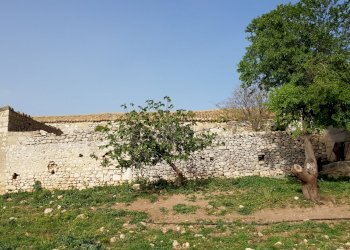 20180411_171247.jpg - Rustico Ragusa - foto 5