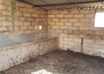 20180411_172110.jpg - Rustico Ragusa - foto 16