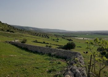 20180411_172233.jpg - Rustico Ragusa - foto 21