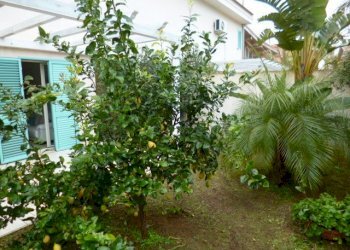 P1030872.JPG - Villa Santa Croce Camerina - foto 18