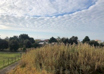 IMG_2164.jpg - Appartamento Camaiore - foto 11