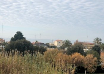 IMG_2184.jpg - Appartamento Camaiore - foto 18