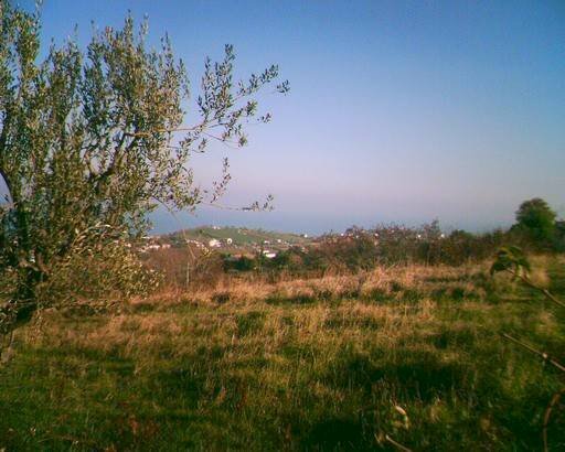 Terreno edificabile Mosciano Sant'Angelo - foto 1