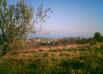 Terreno edificabile Mosciano Sant'Angelo - foto 1