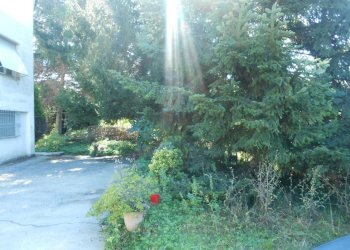 DSCN9993.JPG - Villa Via per Chiatri, Lucca - foto 29