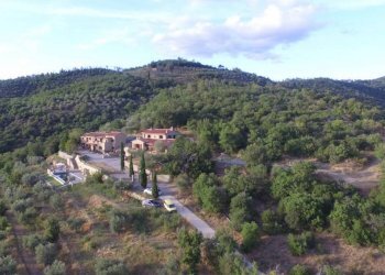 Vista - Rustico Case Sparse Cortona, 46, Cortona - foto 4