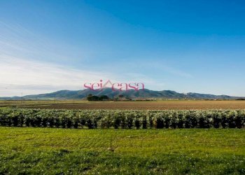 Agriturismo Grosseto - photo 3