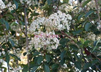 Agriturismo Grosseto - photo 4