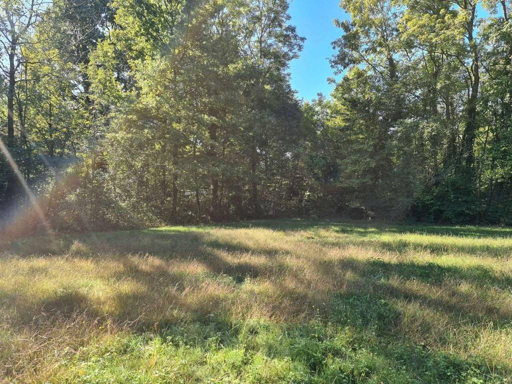 Terreno edificabile La Cassa - foto 2