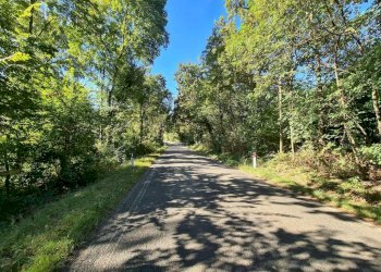 Building land La Cassa - photo 5