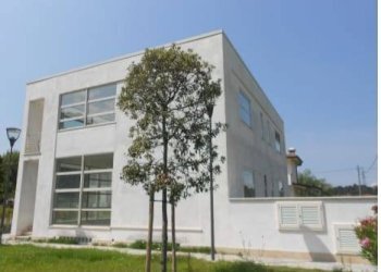 Attività Commerciale Via sarzanese, Camaiore - foto 1