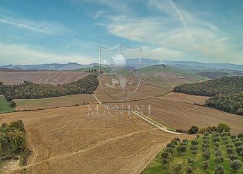 Rustico Asciano - foto 3