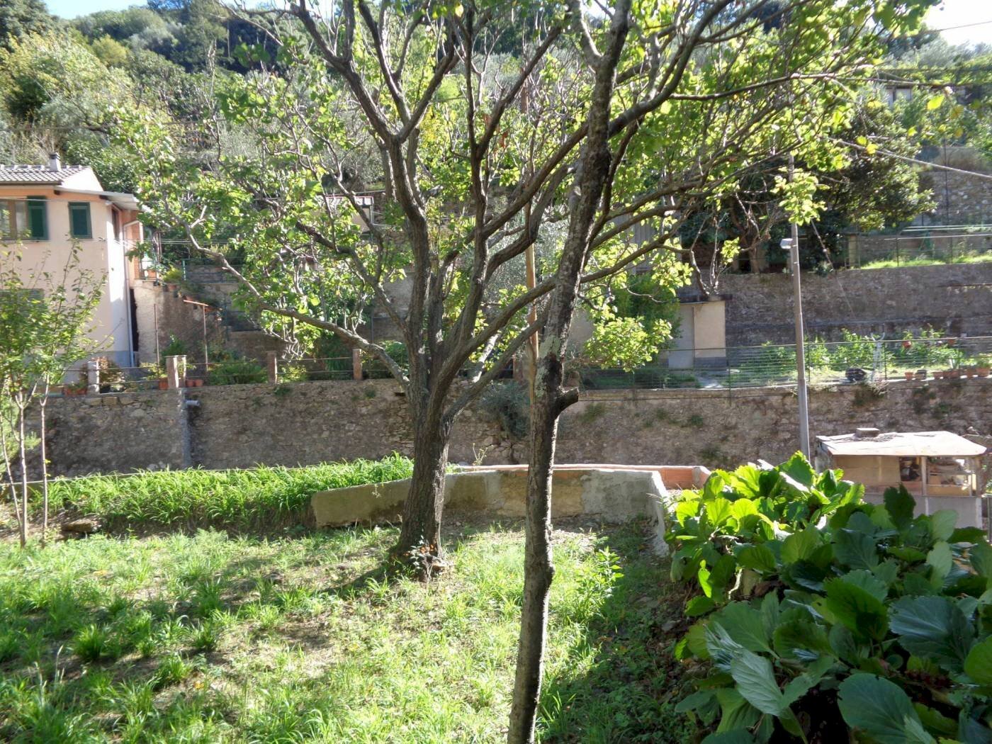 Apartment via del molinetto, Genova (neighborhood Quezzi) - photo 2