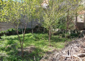 Appartamento via del molinetto, Genova (zona Quezzi) - foto 4