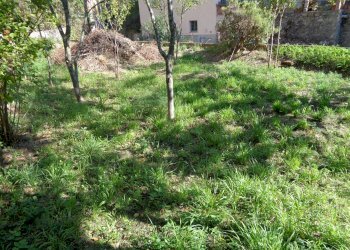 Appartamento via del molinetto, Genova (zona Quezzi) - foto 5