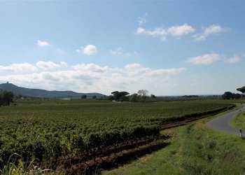 Trilocale Loc. Cerreta 57, Castagneto Carducci - foto 19