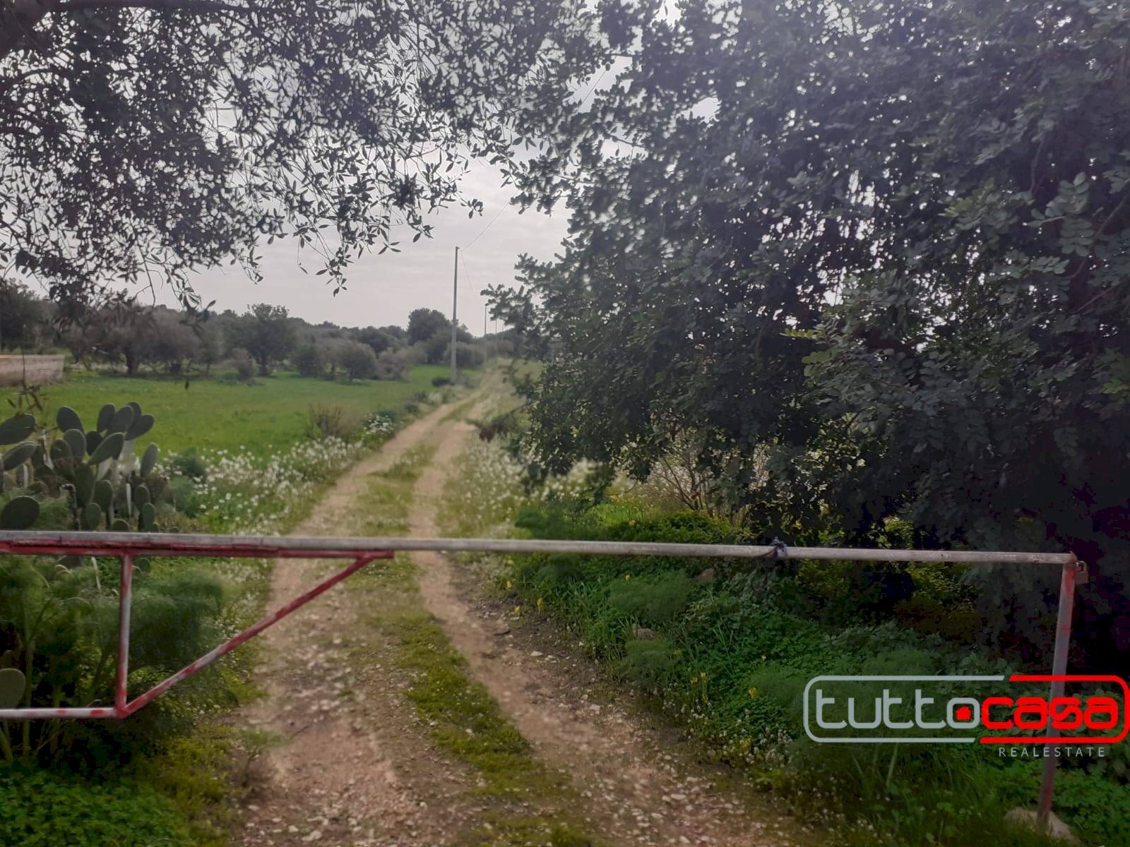 Agricultural land CONTRADA FONDO CANE, Scicli - photo 1