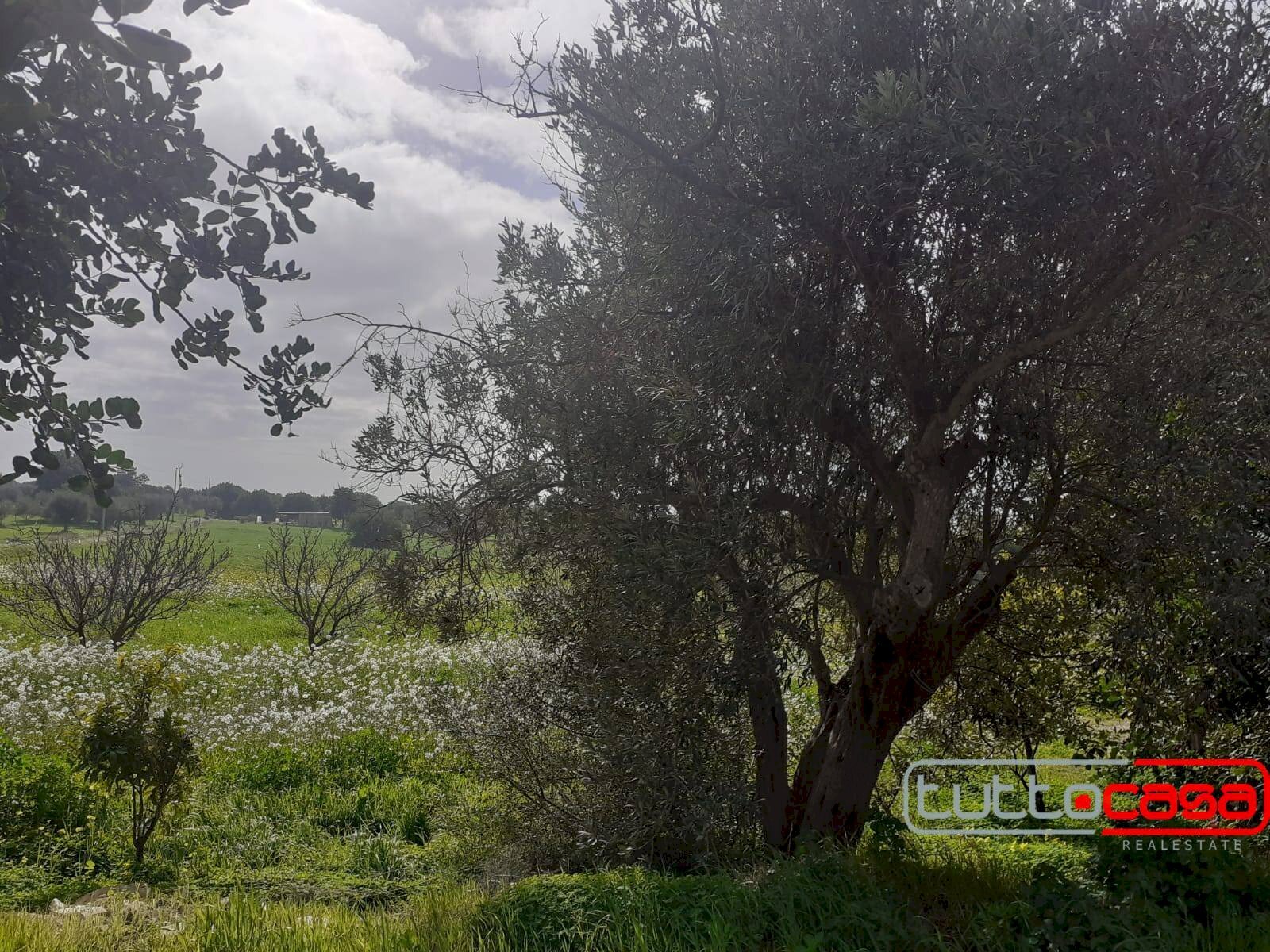 Agricultural land CONTRADA FONDO CANE, Scicli - photo 2