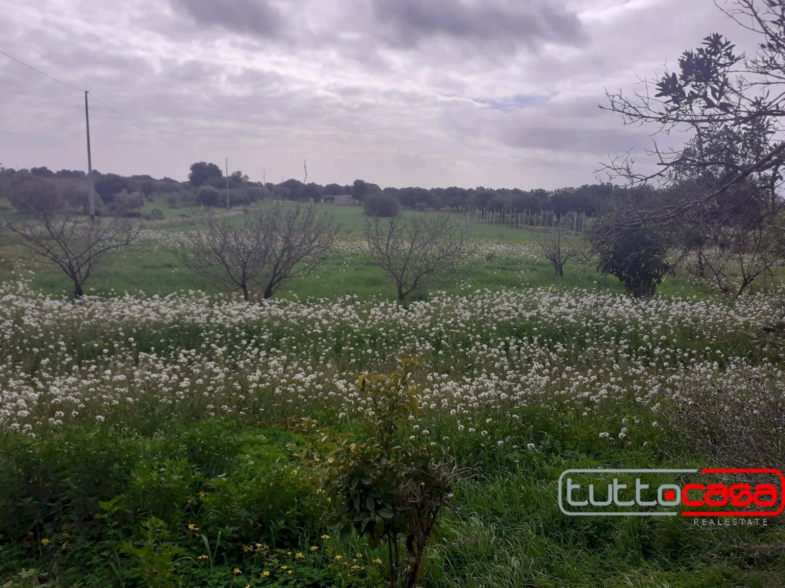 Agricultural land CONTRADA FONDO CANE, Scicli - photo 3