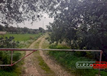 Agricultural land CONTRADA FONDO CANE, Scicli - photo 1