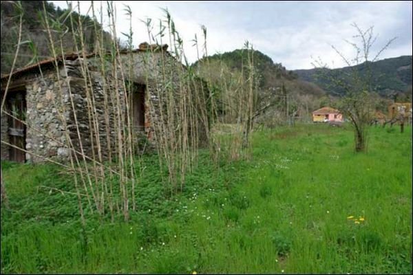 TERRENO - Agricultural land Fosdinovo - photo 2