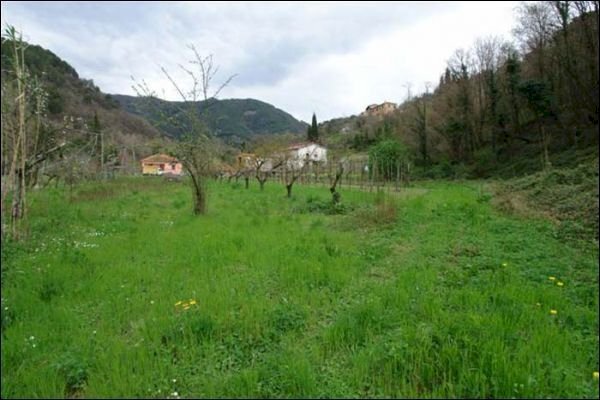 TERRENO - Agricultural land Fosdinovo - photo 1