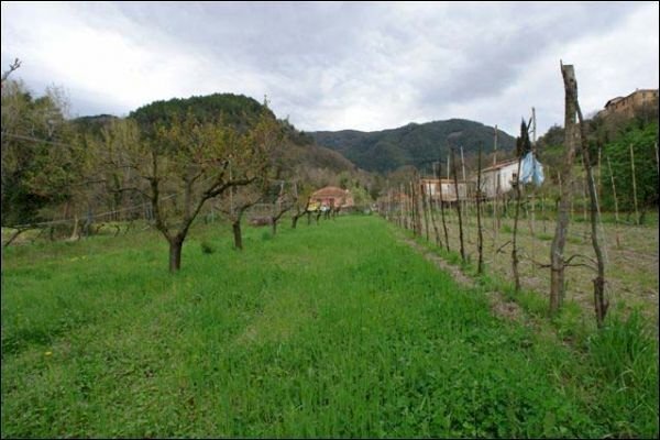 TERRENO - Agricultural land Fosdinovo - photo 3
