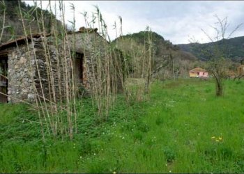 TERRENO - Terreno agricolo Fosdinovo - foto 2