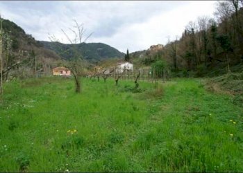 TERRENO - Terreno agricolo Fosdinovo - foto 1