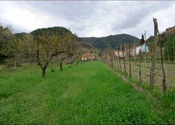 TERRENO - Terreno agricolo Fosdinovo - foto 3