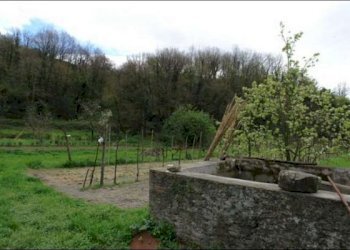 TERRENO - Terreno agricolo Fosdinovo - foto 6