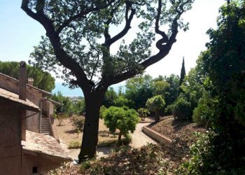 tortoreto (3).jpeg - Building land Tortoreto - photo 11