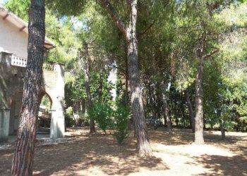 tortoreto (18).jpeg - Building land Tortoreto - photo 25