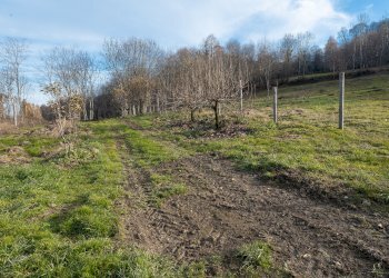 Agriturismo Via San Grato, 4, Martiniana Po - photo 16