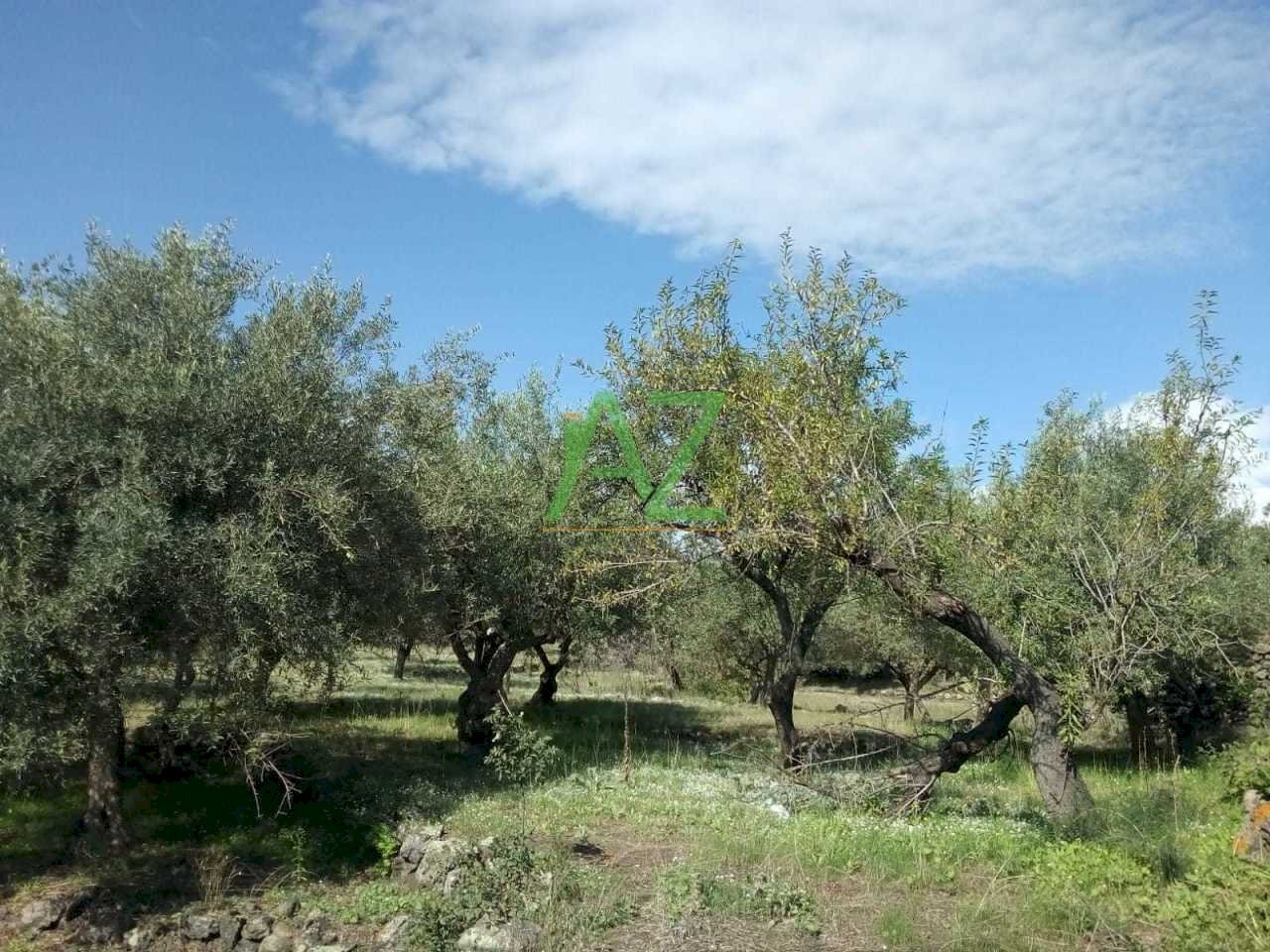 terreno - Building land Pedara - photo 2