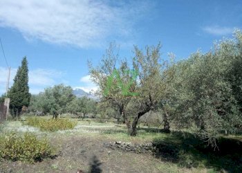 terreno - Terreno edificabile Pedara - foto 1