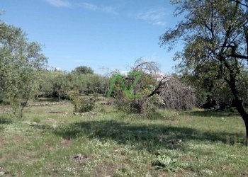 terreno - Terreno edificabile Pedara - foto 4