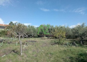 terreno - Terreno edificabile Pedara - foto 6