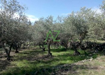 terreno - Terreno edificabile Pedara - foto 8